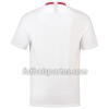 Camisetas Polonia Primera Equipacion Mundial 2018
